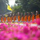 The Photo Collection of the 3rd Dhammachai Dhutanga on January 7th, 2014