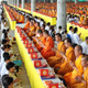 Biggest Congregation of Buddhist Monks